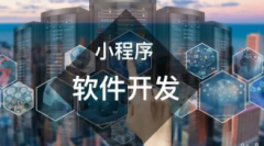 软件开发|软件制作|软件编程|小程序开发