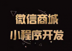 开发网站、制作网站、软件开发、APP应用开发、微信小程序制作